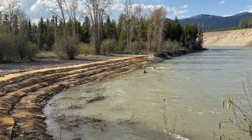 Flathead Riverbank/Blankenship Bridge Project